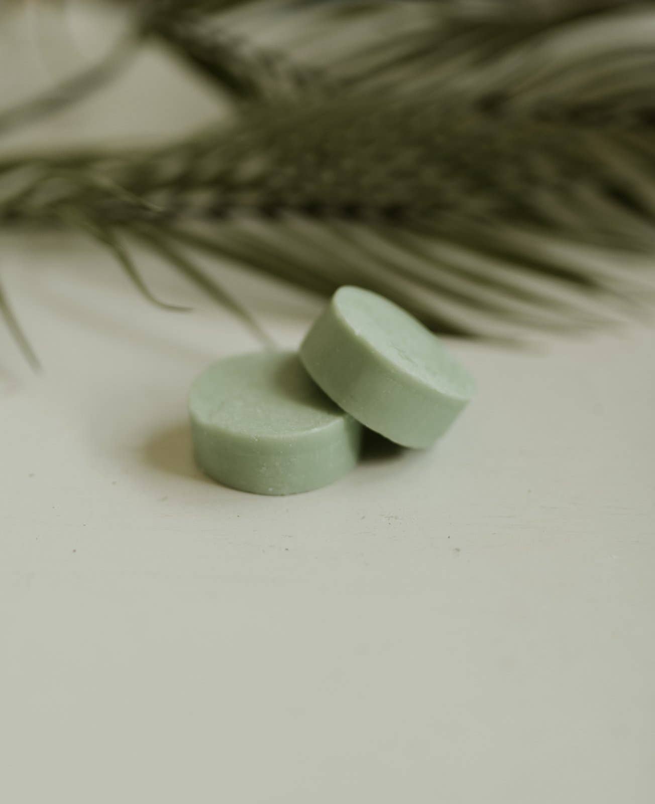 Conditioner Bar | Peppermint + Eucalyptus