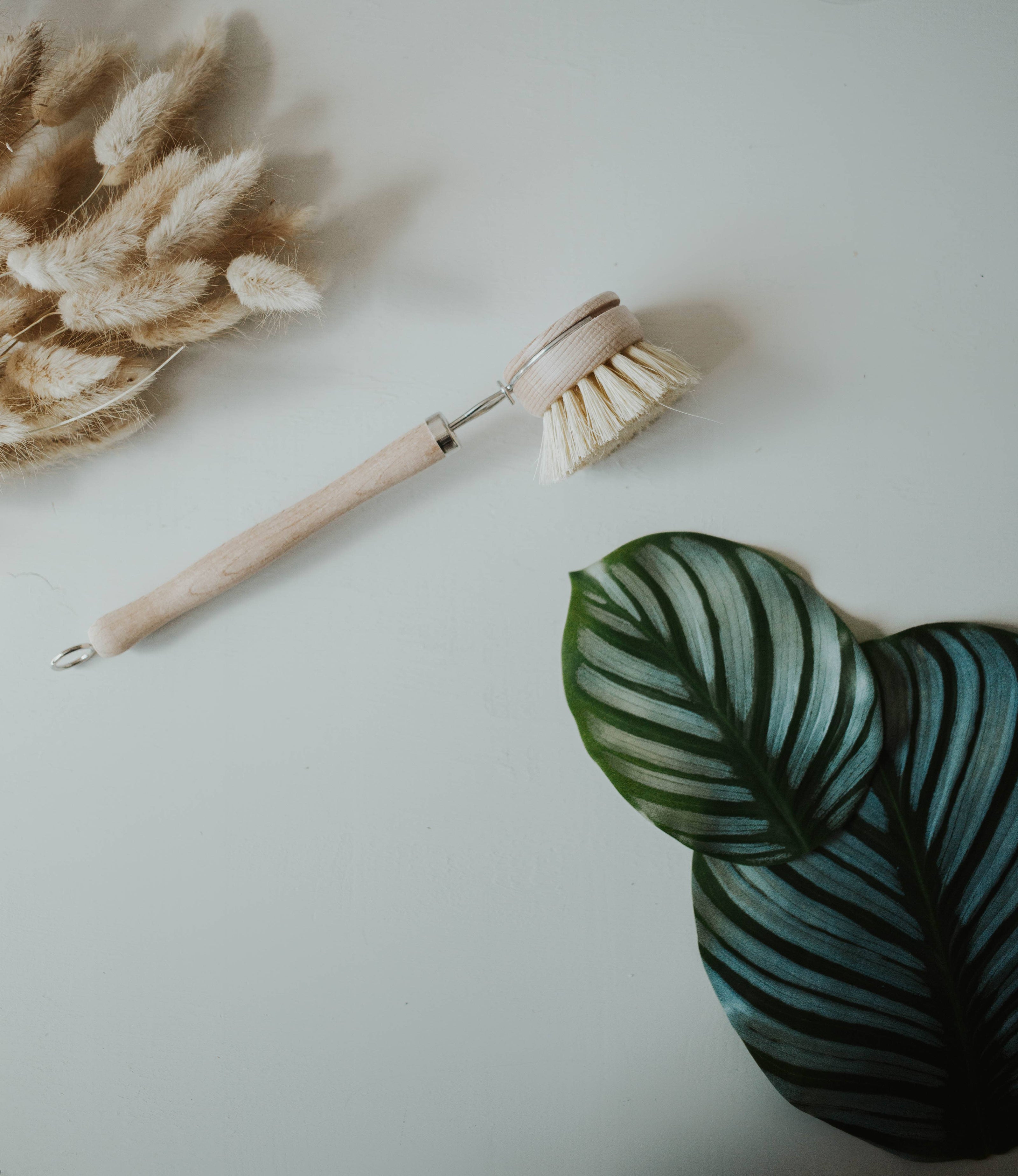 Wooden Dish Brush with Replaceable Head