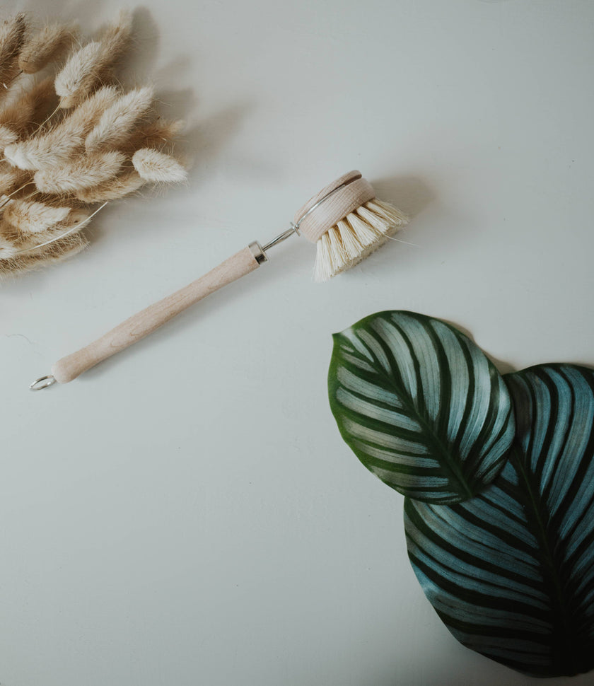 Wooden Dish Brush with Replaceable Head
