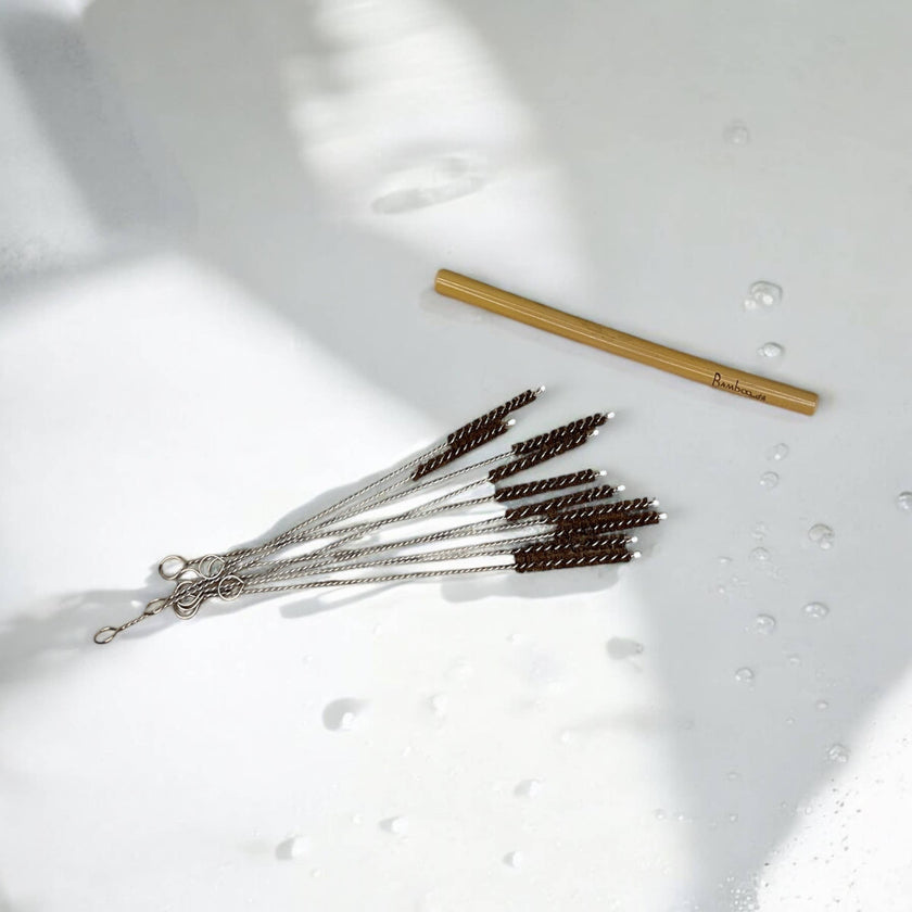 Coconut Fiber Plastic Free Straw Cleaner