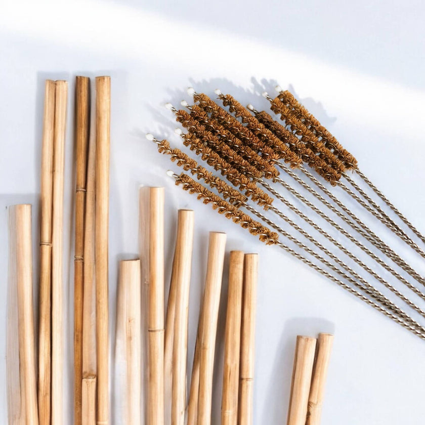Coconut Fiber Plastic Free Straw Cleaner