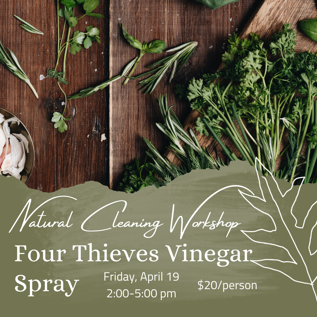 Natural Cleaning Workshop: Four Thieves Vinegar Spray