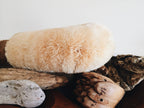 Premium Dry Body Brush - All Natural