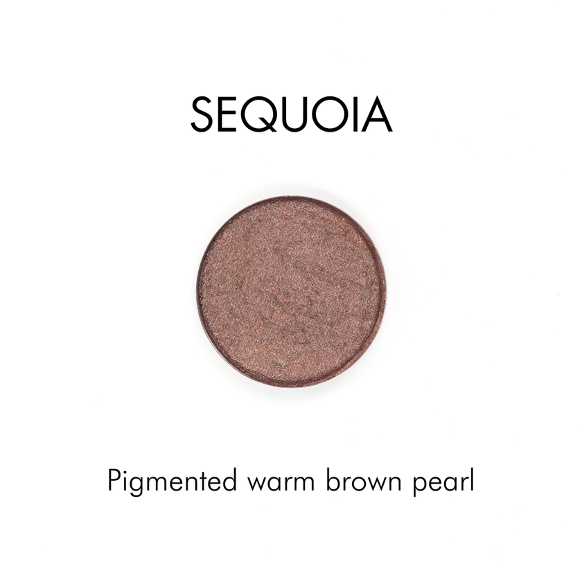 Zerra & Co. Pressed Mineral Eyeshadow: Sequoia