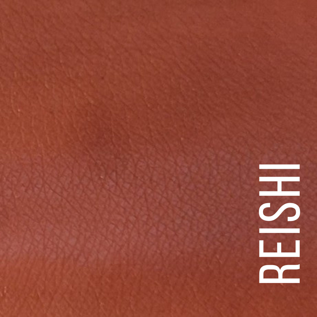 LIP CHARM - Lipstick: Reishi