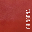 LIP CHARM - Lipstick: Chingona