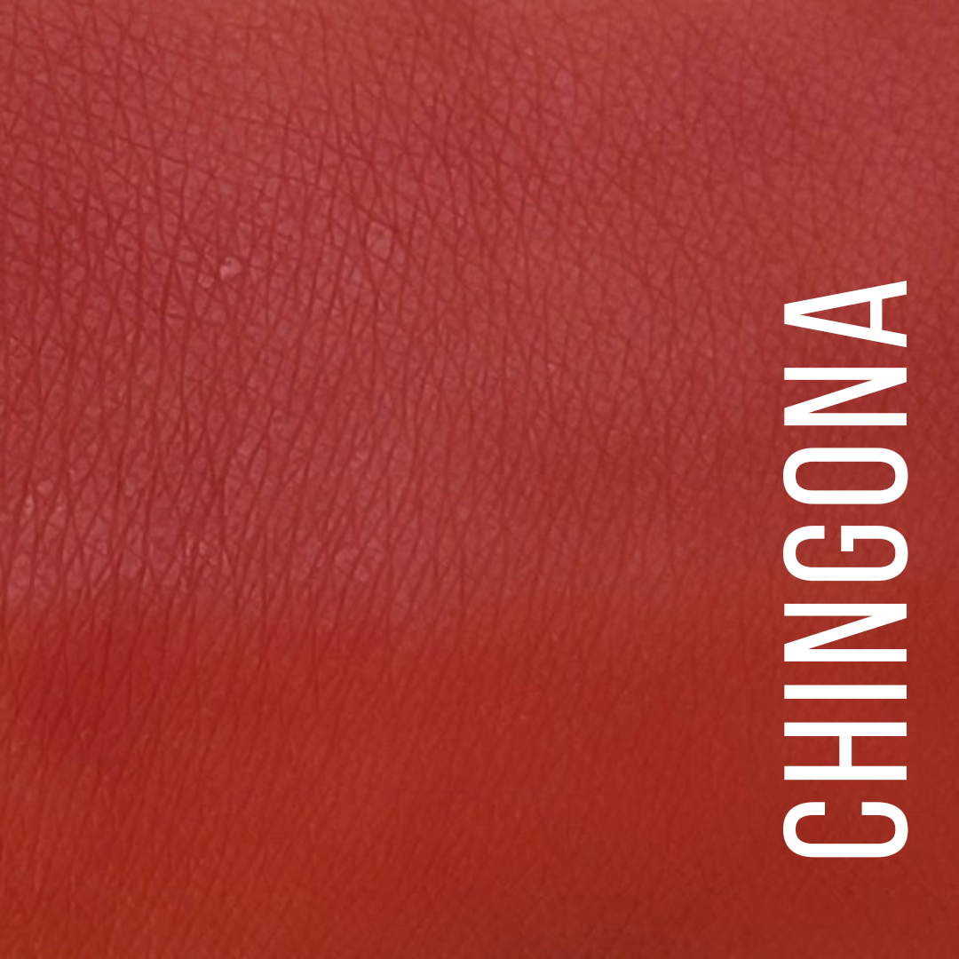 LIP CHARM - Lipstick: Chingona