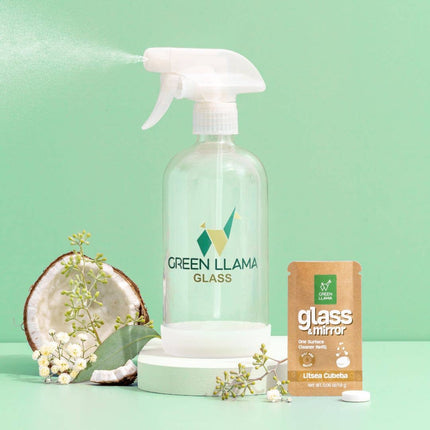 Refillable Window and Glass Cleaning Kit