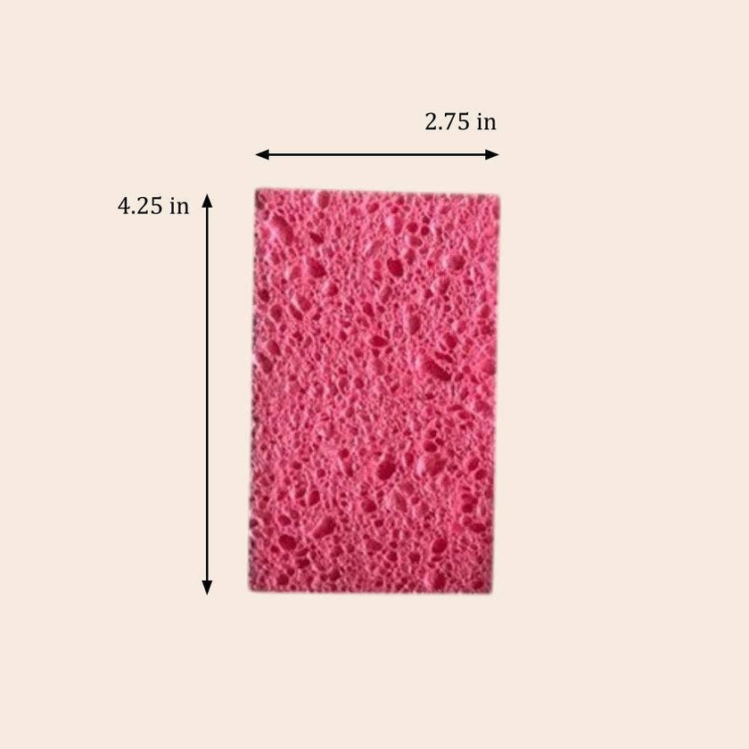 Compostable Cellulose Sponge : Set of 3
