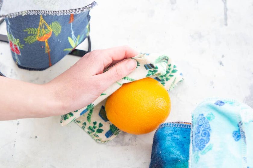 Zero Waste Starter Kit: Plants