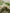 Bamboo Bottle Brush | Zero Waste Kitchen Cleaning Brush
