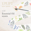 Floor Cleaner Concentrate: Rosemary Peppermint Tea Tree