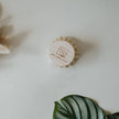 Wooden Dish Brush with Replaceable Head