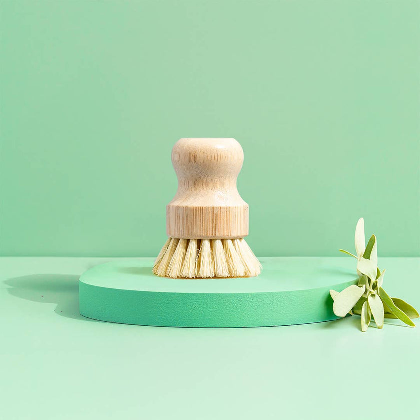 Bamboo & Sisal Dish Brush