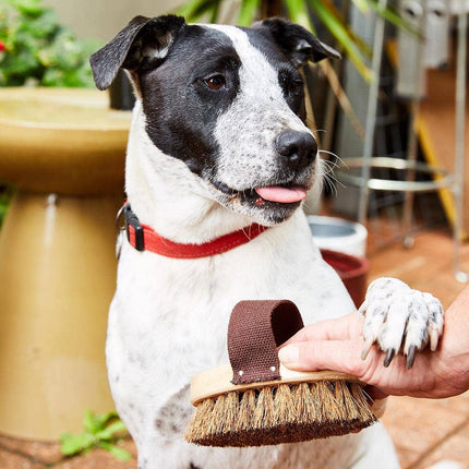 Dog/Pet Grooming Brush