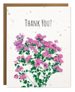 TOKA | Thank You Catchfly | Plantable Card