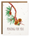 Seed Card, PINING FOR YOU CHRISTMAS