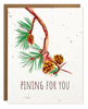 Seed Card, PINING FOR YOU CHRISTMAS