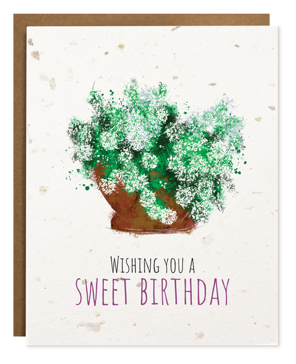 TOKA | Sweet Birthday | Plantable Card